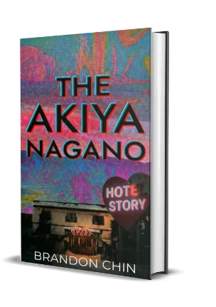The Akiya: Nagano book cover